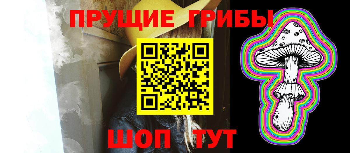 Шадринск  Псилоцибиновые грибы Psilocybe  Псилоцибиновые грибы мухоморы  Вход с VPN 