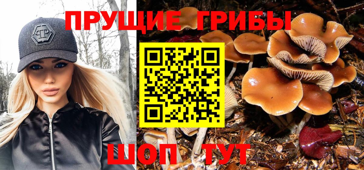 Галлюциногенные грибы мухоморы Шадринск